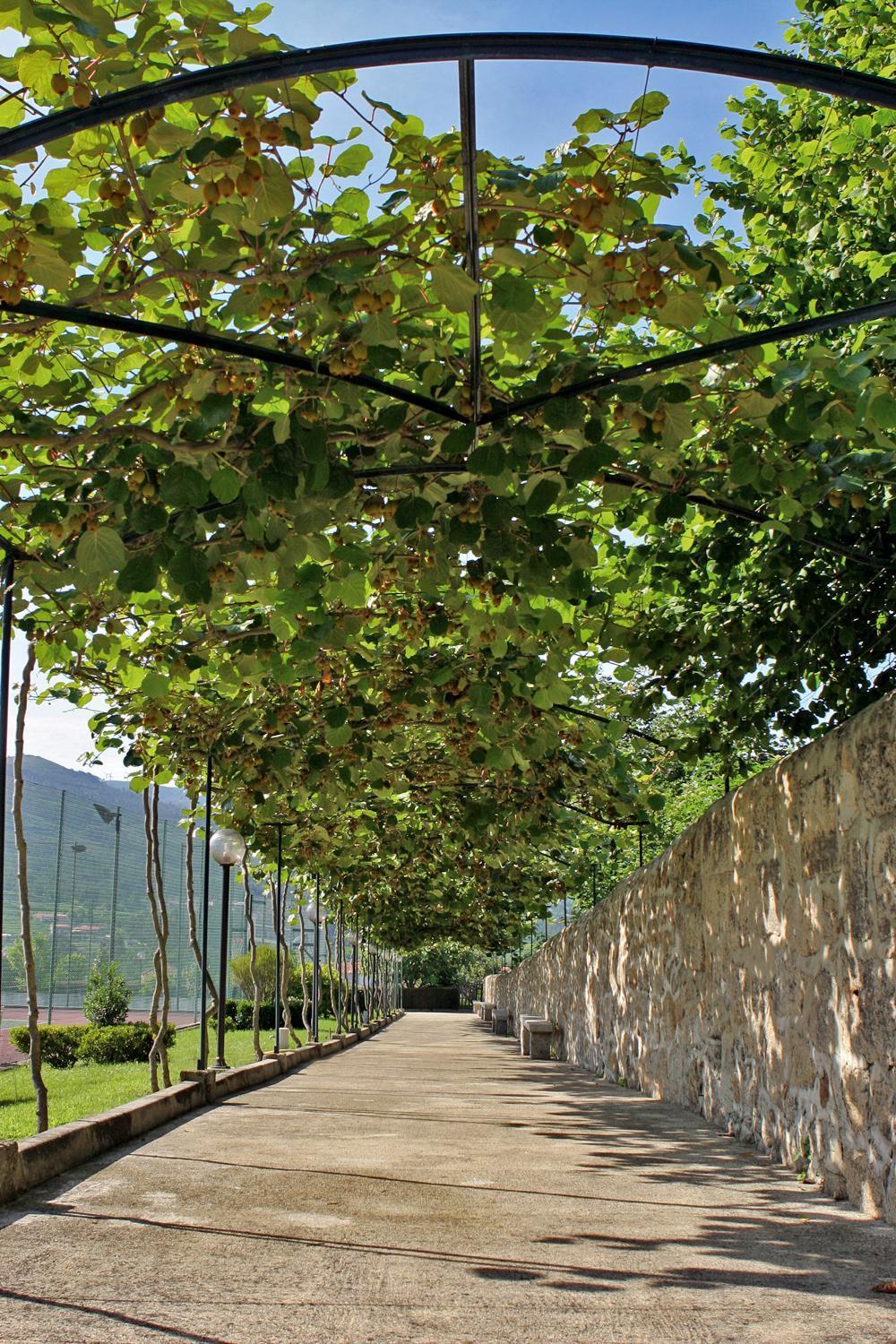 Hotel Boavista I Melgaço Dış mekan fotoğraf